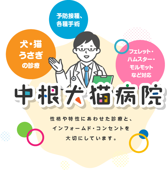 性格や特性にあわせた診療と、インフォームド・コンセントを大切にしています。
