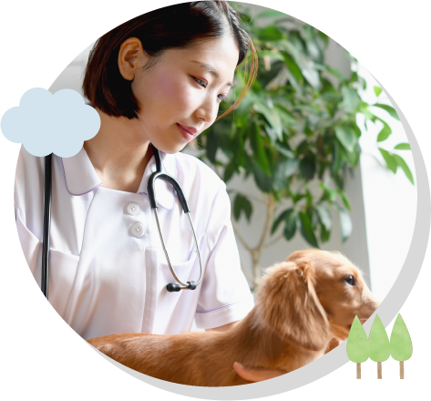 健診・ワクチン・その他