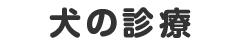 犬の診療