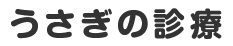 うさぎの診療