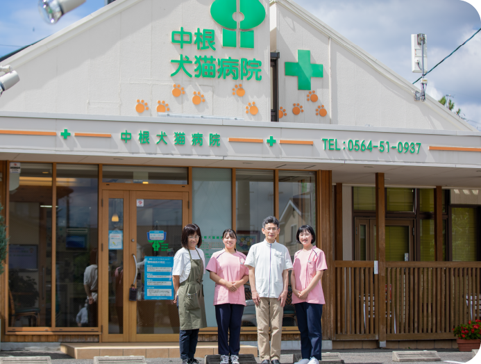 中根犬猫病院医院概要