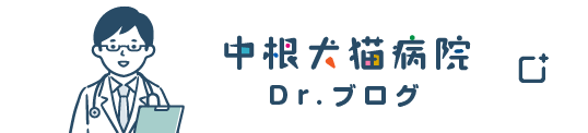 中根犬猫病院 Dr.ブログ