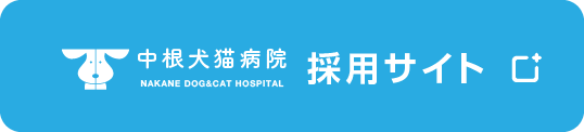 中根犬猫病院 採用サイト